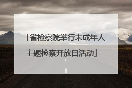 省检察院举行未成年人主题检察开放日活动