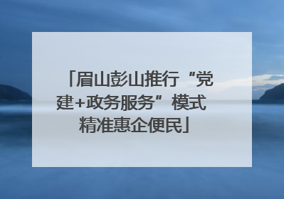 眉山彭山推行“党建+政务服务”模式 精准惠企便民