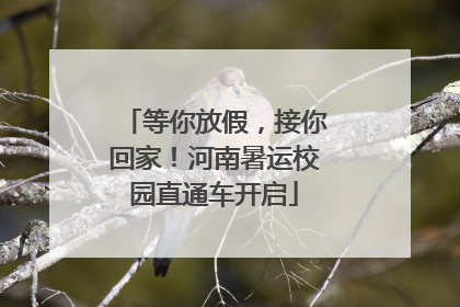 等你放假，接你回家！河南暑运校园直通车开启
