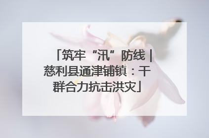 筑牢“汛”防线｜慈利县通津铺镇：干群合力抗击洪灾