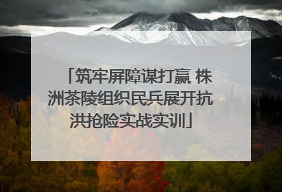 筑牢屏障谋打赢 株洲茶陵组织民兵展开抗洪抢险实战实训