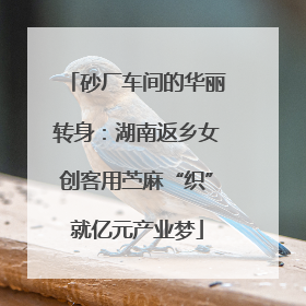 砂厂车间的华丽转身：湖南返乡女创客用苎麻“织”就亿元产业梦