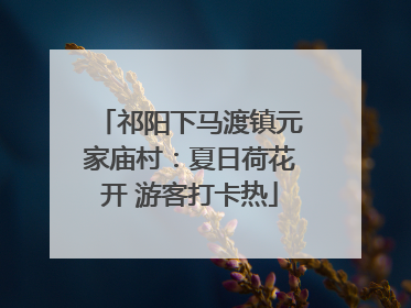 祁阳下马渡镇元家庙村：夏日荷花开 游客打卡热