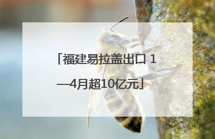 福建易拉盖出口 1—4月超10亿元