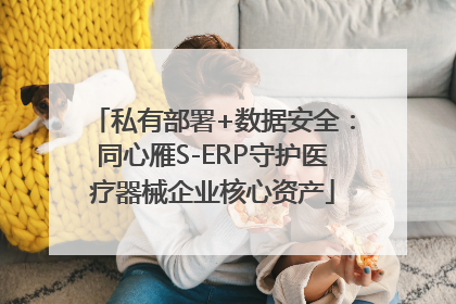 私有部署+数据安全：同心雁S-ERP守护医疗器械企业核心资产