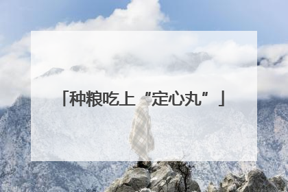 种粮吃上“定心丸”
