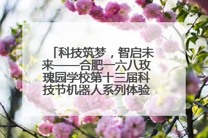 科技筑梦，智启未来——合肥一六八玫瑰园学校第十三届科技节机器人系列体验赛燃动校园
