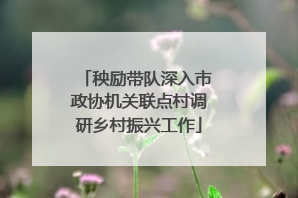 秧励带队深入市政协机关联点村调研乡村振兴工作