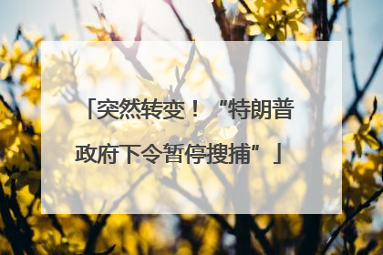 突然转变！“特朗普政府下令暂停搜捕”
