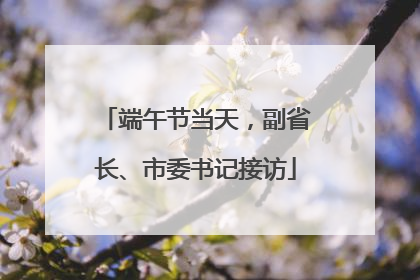 端午节当天，副省长、市委书记接访