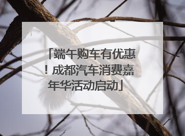 端午购车有优惠！成都汽车消费嘉年华活动启动