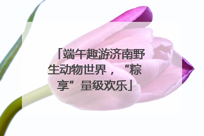 端午趣游济南野生动物世界，“粽享”量级欢乐
