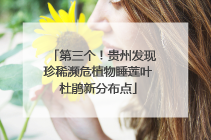 第三个！贵州发现珍稀濒危植物睡莲叶杜鹃新分布点