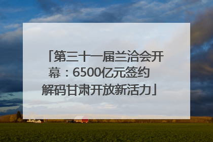 第三十一届兰洽会开幕：6500亿元签约解码甘肃开放新活力