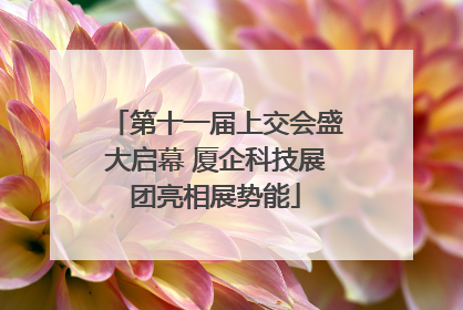 第十一届上交会盛大启幕 厦企科技展团亮相展势能