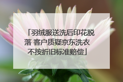 羽绒服送洗后印花脱落 客户质疑京东洗衣不按折旧标准赔偿