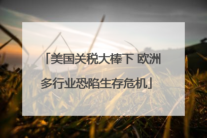 美国关税大棒下 欧洲多行业恐陷生存危机