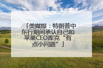 美媒爆：特朗普中东行期间承认自己和苹果CEO库克“有点小问题”