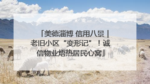 美德淄博 信用八景｜老旧小区“变形记”！诚信物业焐热居民心窝