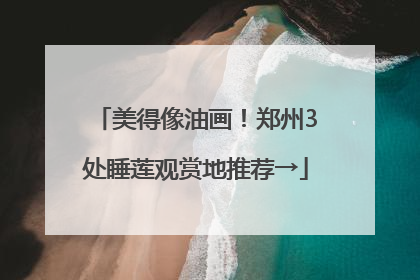 美得像油画！郑州3处睡莲观赏地推荐→