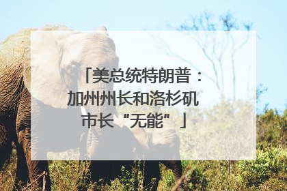 美总统特朗普：加州州长和洛杉矶市长“无能”