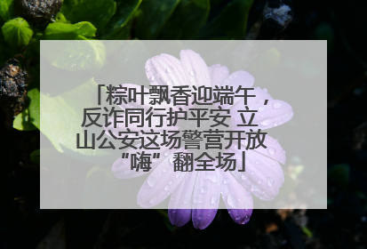 粽叶飘香迎端午，反诈同行护平安 立山公安这场警营开放“嗨”翻全场