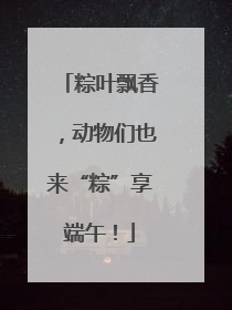 粽叶飘香，动物们也来“粽”享端午！