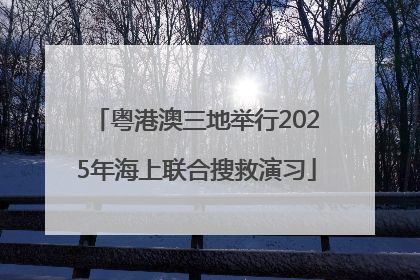 粤港澳三地举行2025年海上联合搜救演习