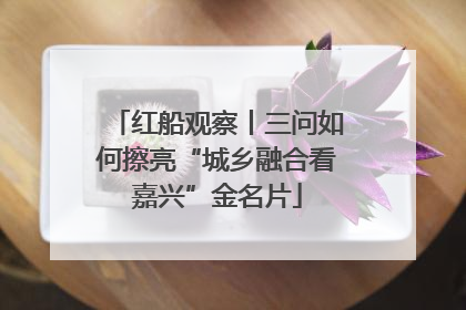 红船观察丨三问如何擦亮“城乡融合看嘉兴”金名片