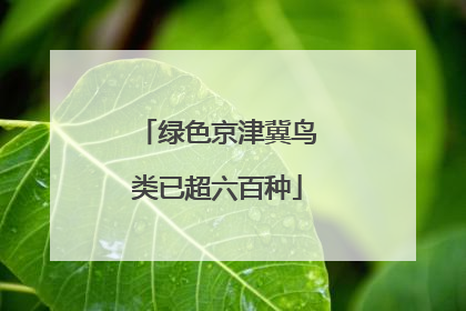 绿色京津冀鸟类已超六百种