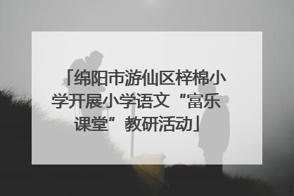 绵阳市游仙区梓棉小学开展小学语文“富乐课堂”教研活动
