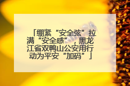 绷紧“安全弦”拉满“安全感”，黑龙江省双鸭山公安用行动为平安“加码”