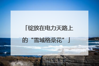 绽放在电力天路上的“雪域格桑花”