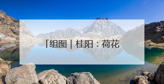 组图｜桂阳：荷花悄然绽放 碧波荷叶绘就美好夏日画卷