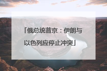 俄总统普京：伊朗与以色列应停止冲突