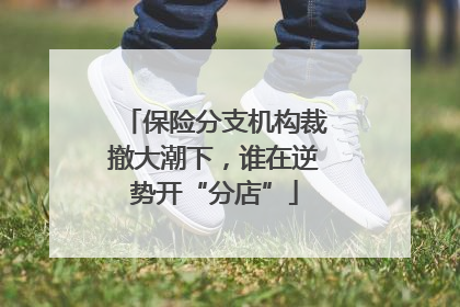 保险分支机构裁撤大潮下，谁在逆势开“分店”