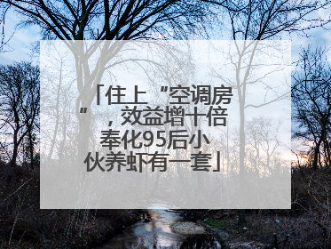 住上“空调房”，效益增十倍 奉化95后小伙养虾有一套