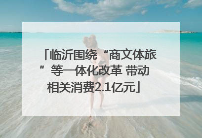 临沂围绕“商文体旅”等一体化改革 带动相关消费2.1亿元