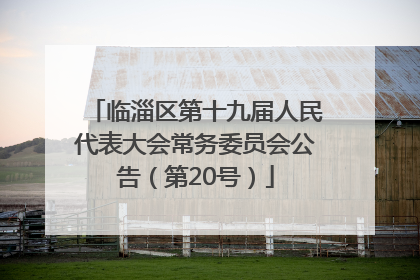 临淄区第十九届人民代表大会常务委员会公告（第20号）