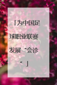 为中国足球职业联赛发展“会诊”