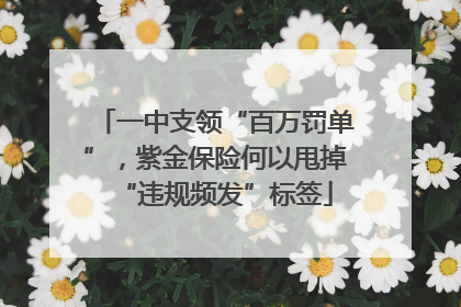一中支领“百万罚单”，紫金保险何以甩掉“违规频发”标签