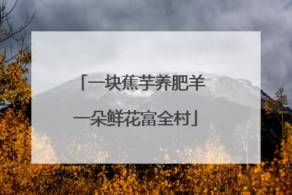一块蕉芋养肥羊 一朵鲜花富全村