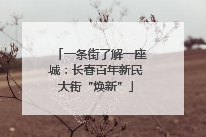 一条街了解一座城：长春百年新民大街“焕新”