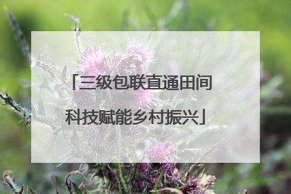 三级包联直通田间 科技赋能乡村振兴