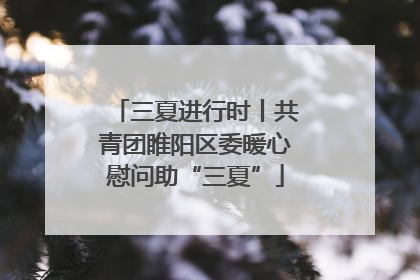三夏进行时丨共青团睢阳区委暖心慰问助“三夏”