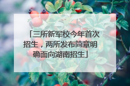 三所新军校今年首次招生，两所发布简章明确面向湖南招生