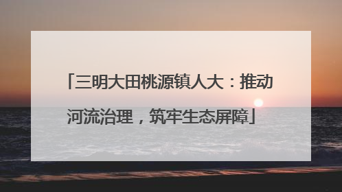 三明大田桃源镇人大：推动河流治理，筑牢生态屏障