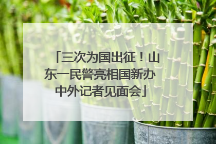 三次为国出征！山东一民警亮相国新办中外记者见面会