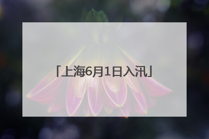 上海6月1日入汛