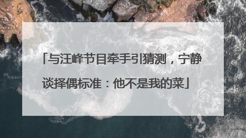 与汪峰节目牵手引猜测，宁静谈择偶标准：他不是我的菜